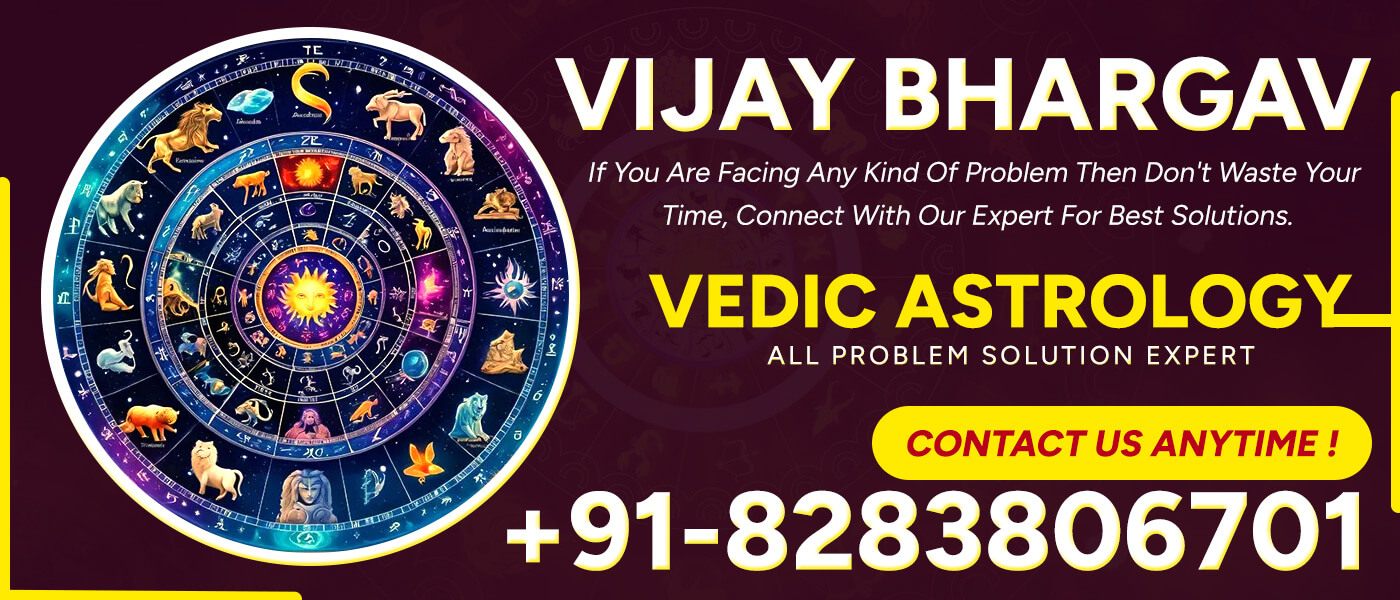 Vijay Bhargav